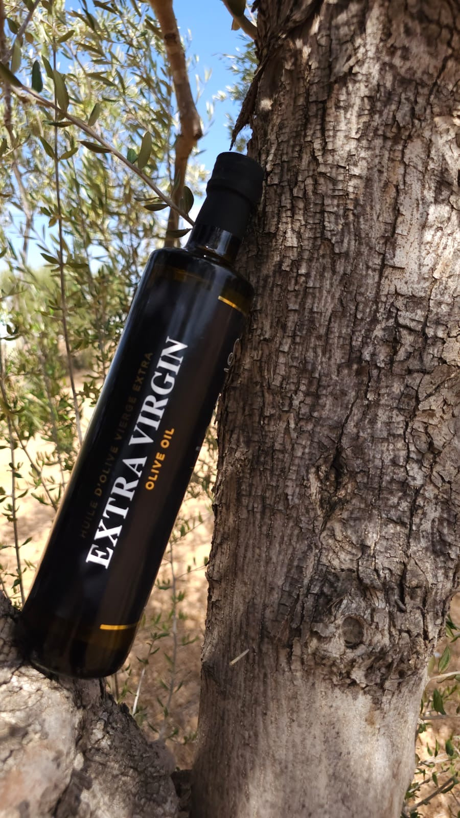 Salma extra virgin Olive Oil 750ml FOODS SALMA