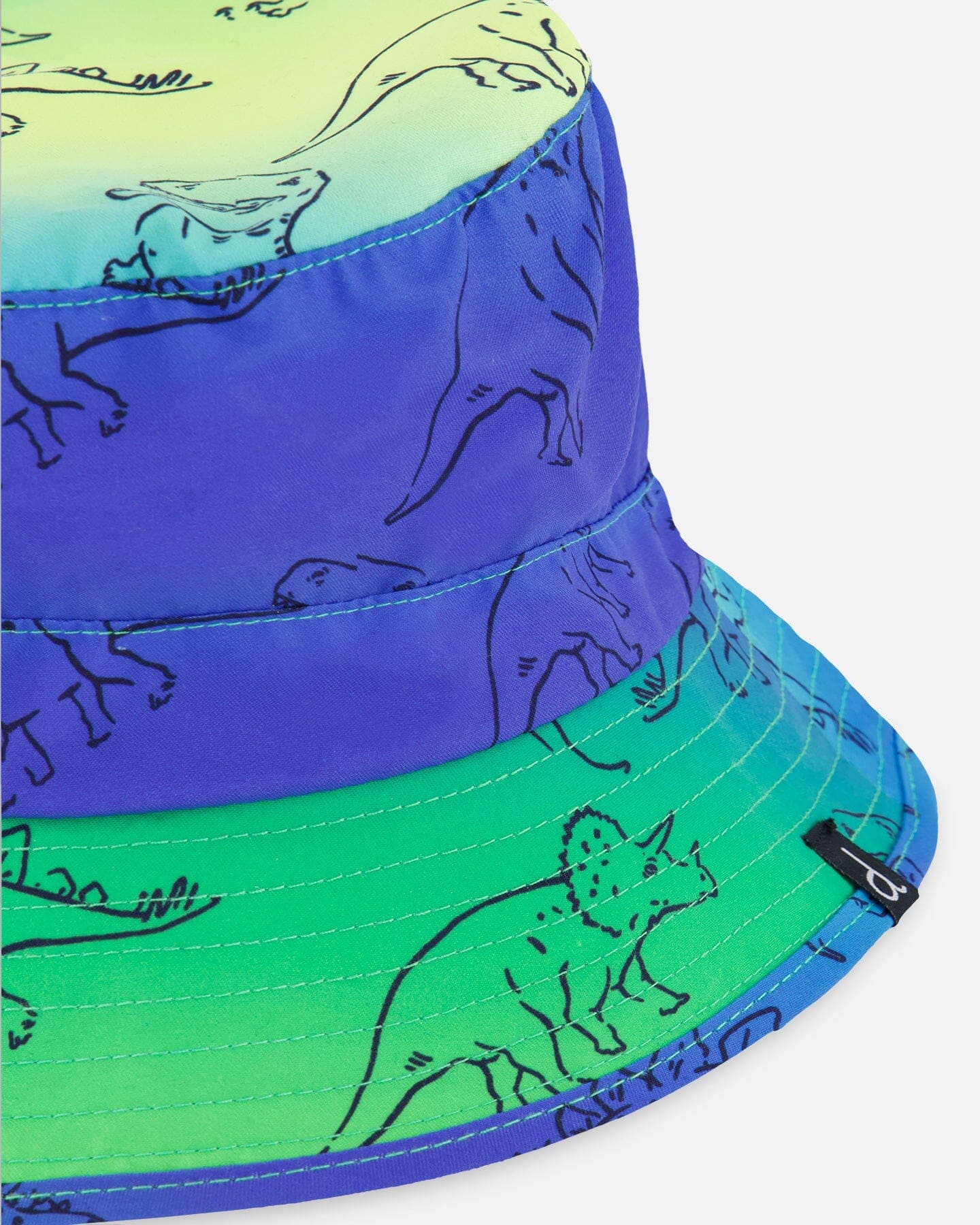 Printed Beach Hat Vibrant Blue And Green Dino