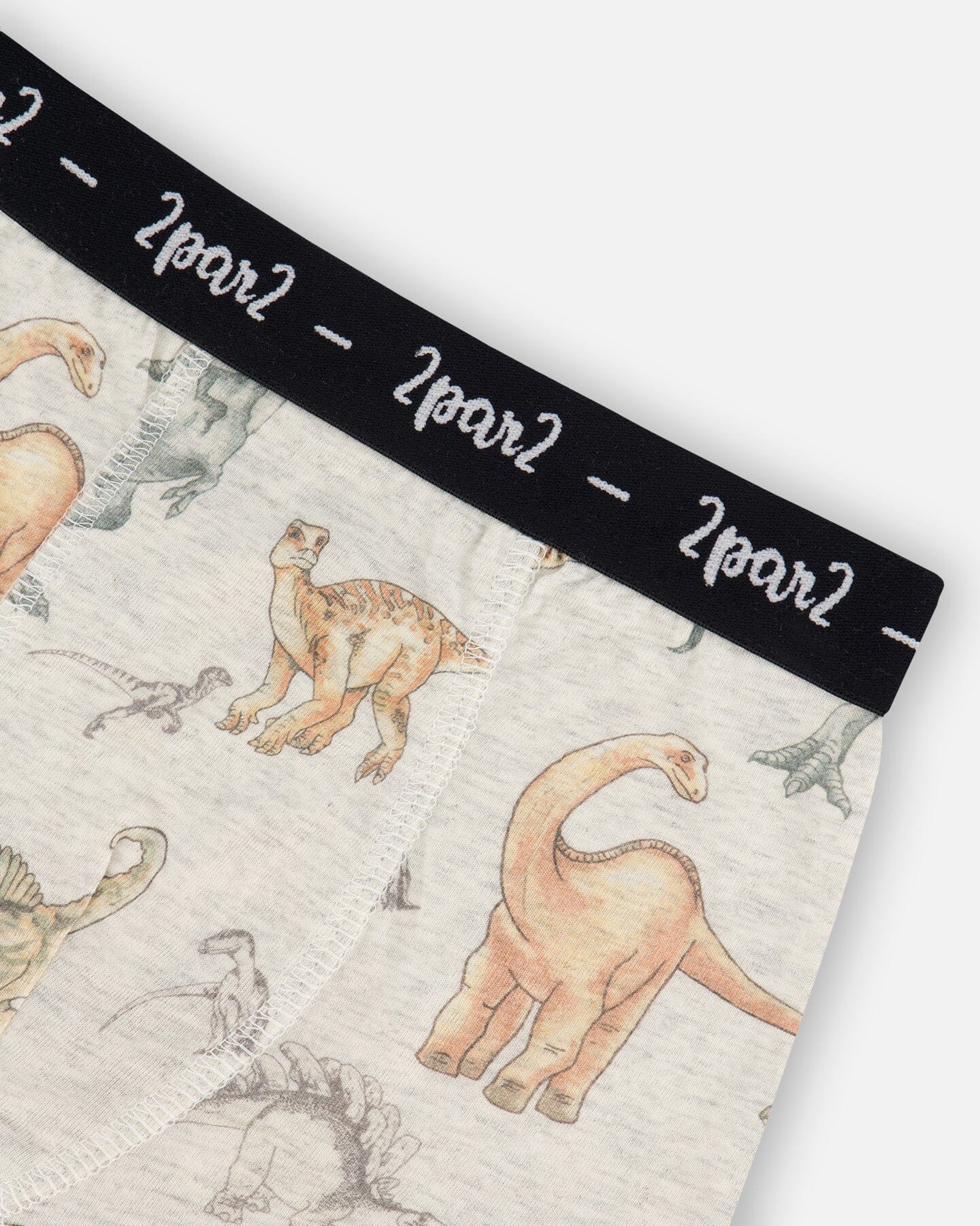 Printed Organic Cotton Boxer Shorts Dinosaur On Mottled And Tan Background