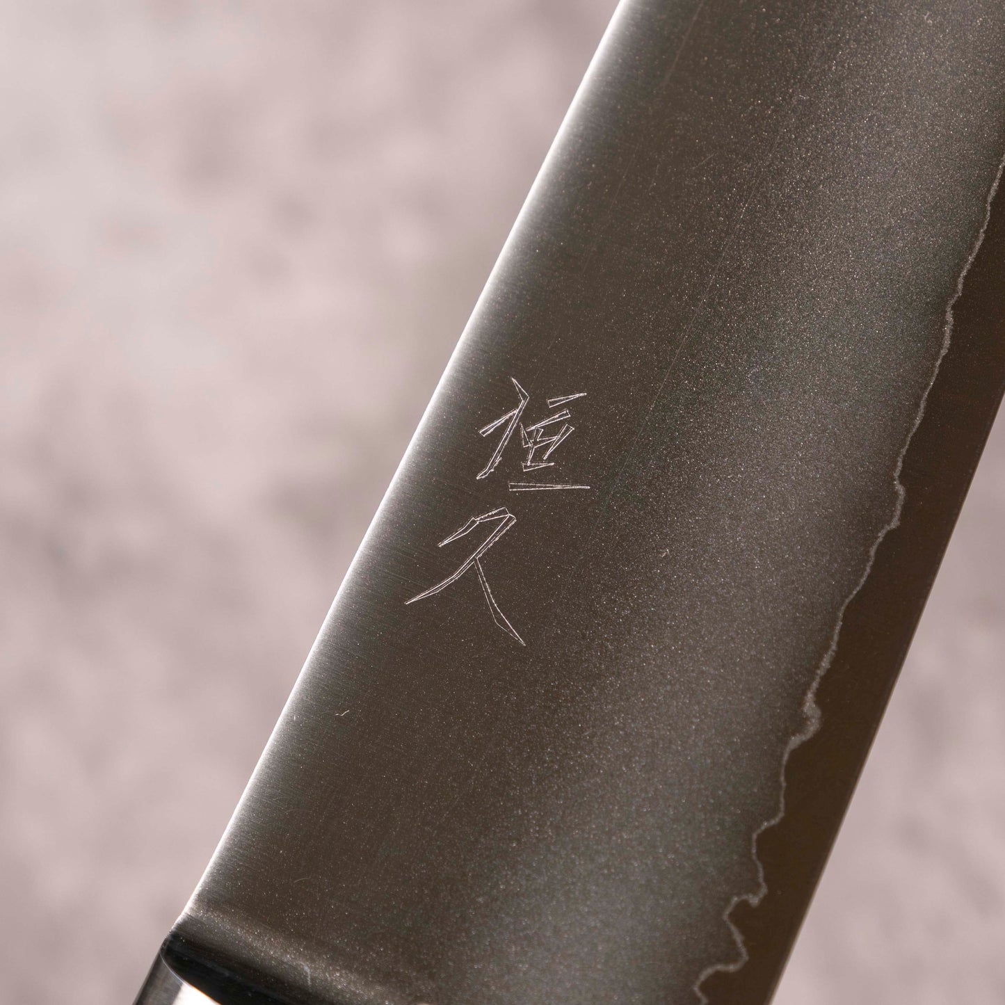 Tsunehisa Migaki VG-1 Gyuto 210 mm