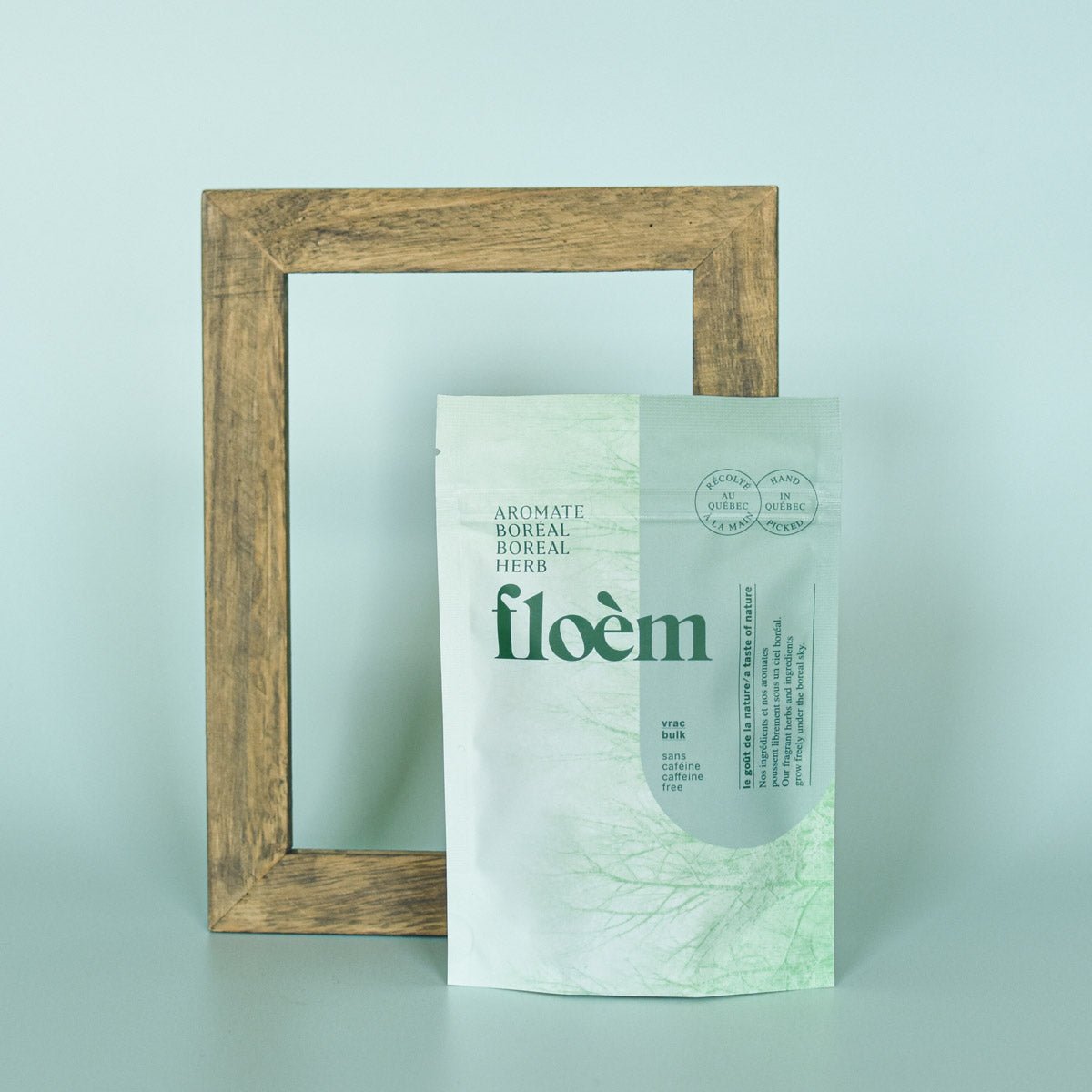 Épinette blanche, pousse