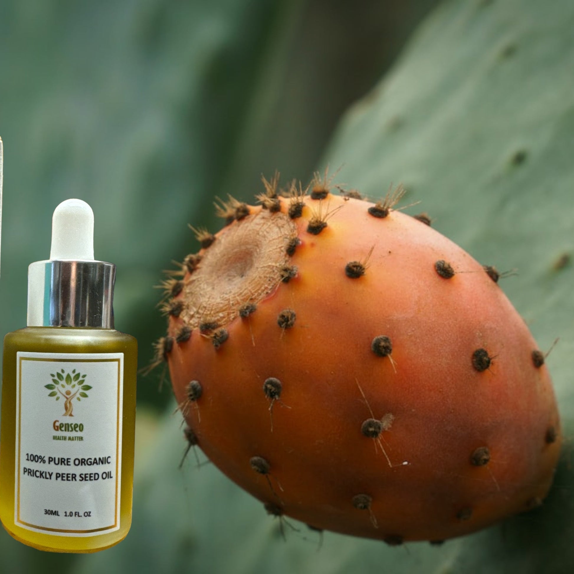 Genseo Prickly Pear Seeds oil organic 30ml BODY CARE ZaytunaMart.ca