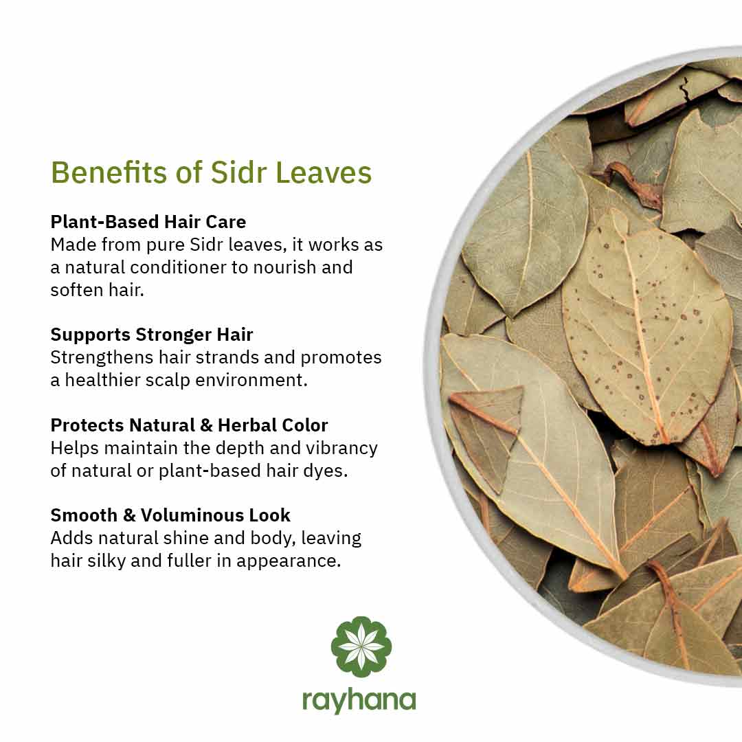 Sidr Leaves – 100% Natural Dried Leaves ورق السدر