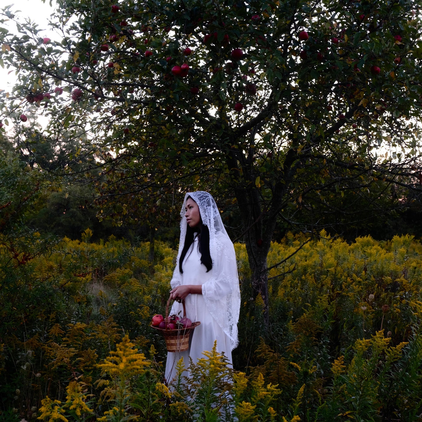 EARTH APPLE // chamomile elderberry tea