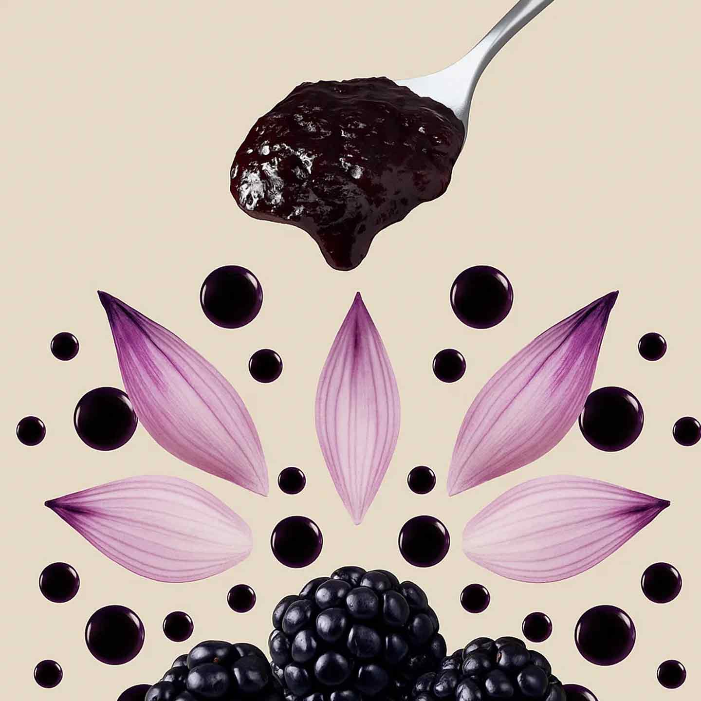 Black Mulberry Extract – All Natural