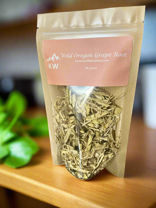 Wild Oregon Grape Root