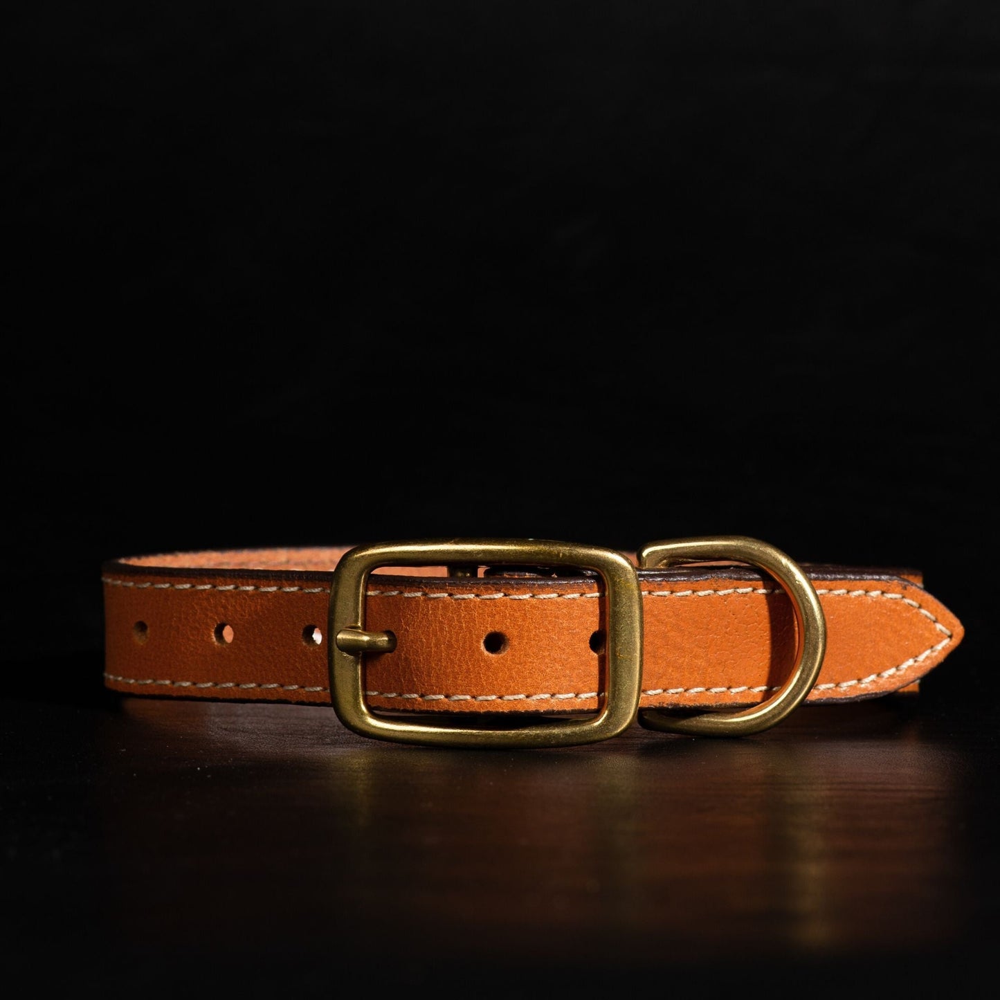 Trailblazer - Brown Stitched Premium Leather Dog Collar - Made in Canada