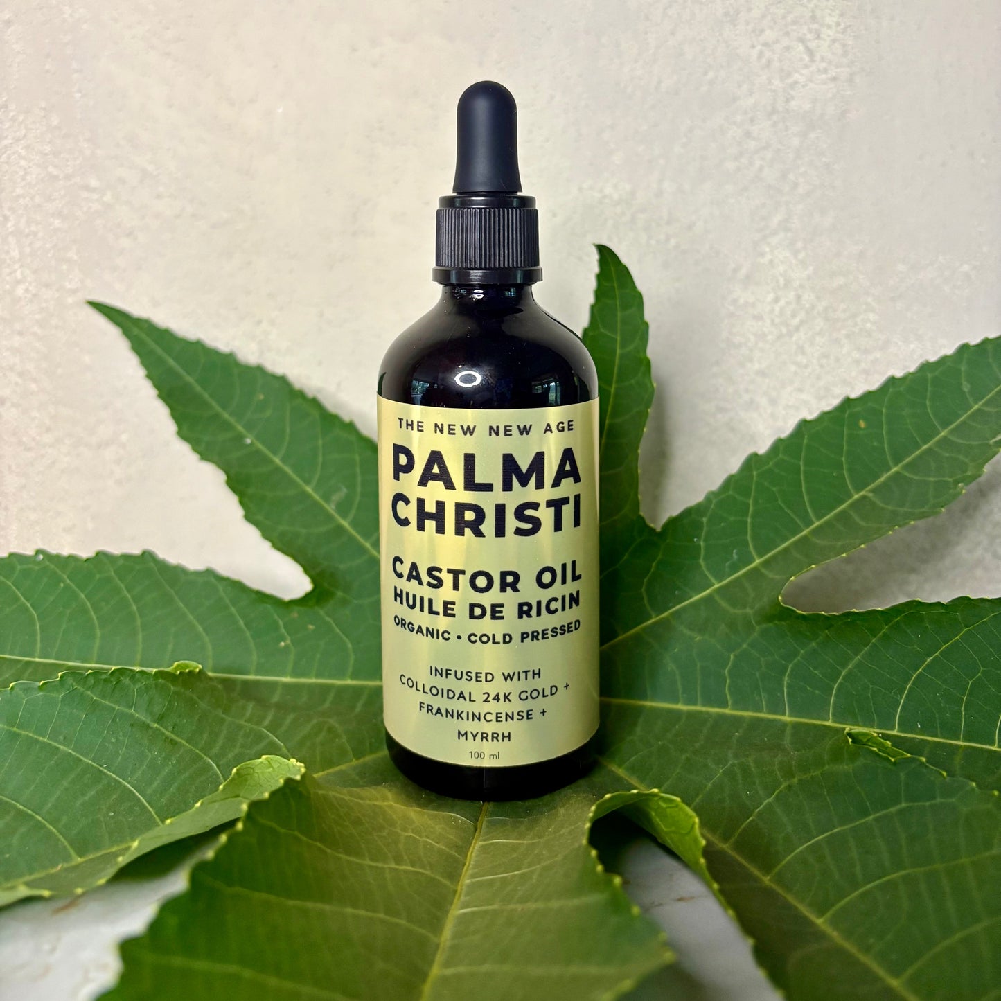 PALMA CHRISTI: CASTOR OIL