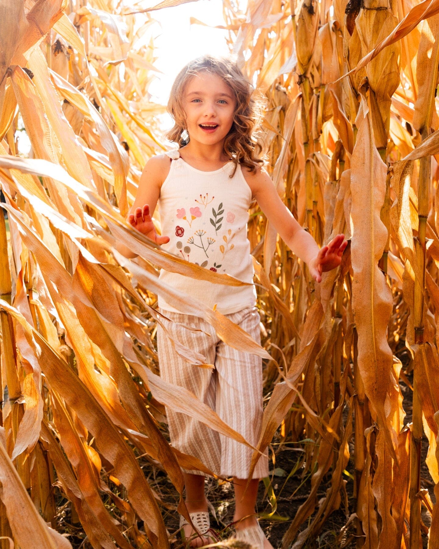 Wide Leg Capri Linen Pant White And Sage Striped