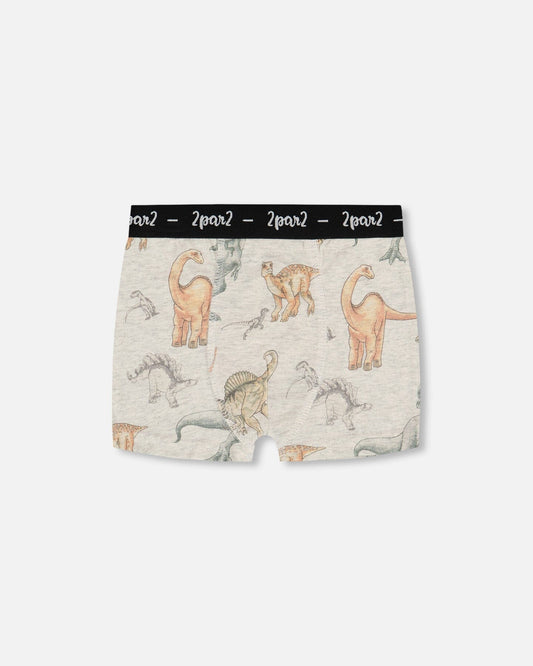 Printed Organic Cotton Boxer Shorts Dinosaur On Mottled And Tan Background