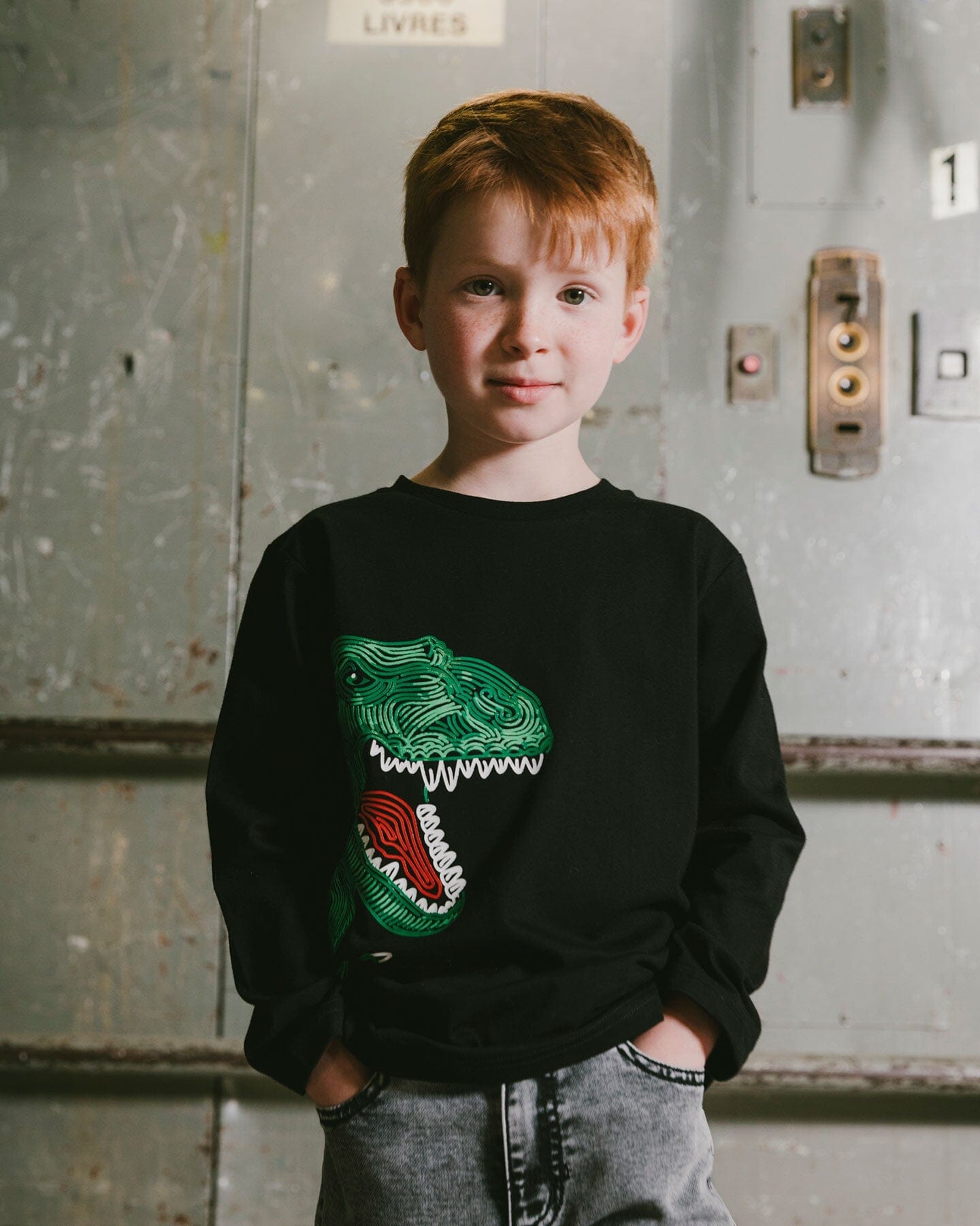 Long Sleeve Jersey Tee Shirt With Dinosaur