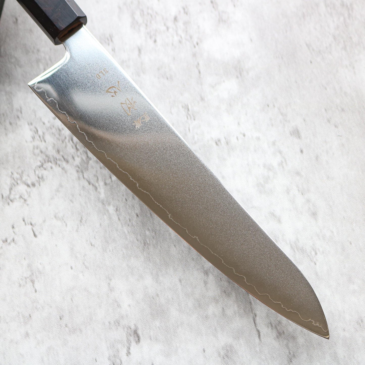Hatsukokoro Hikari SLD Gyuto 210 mm