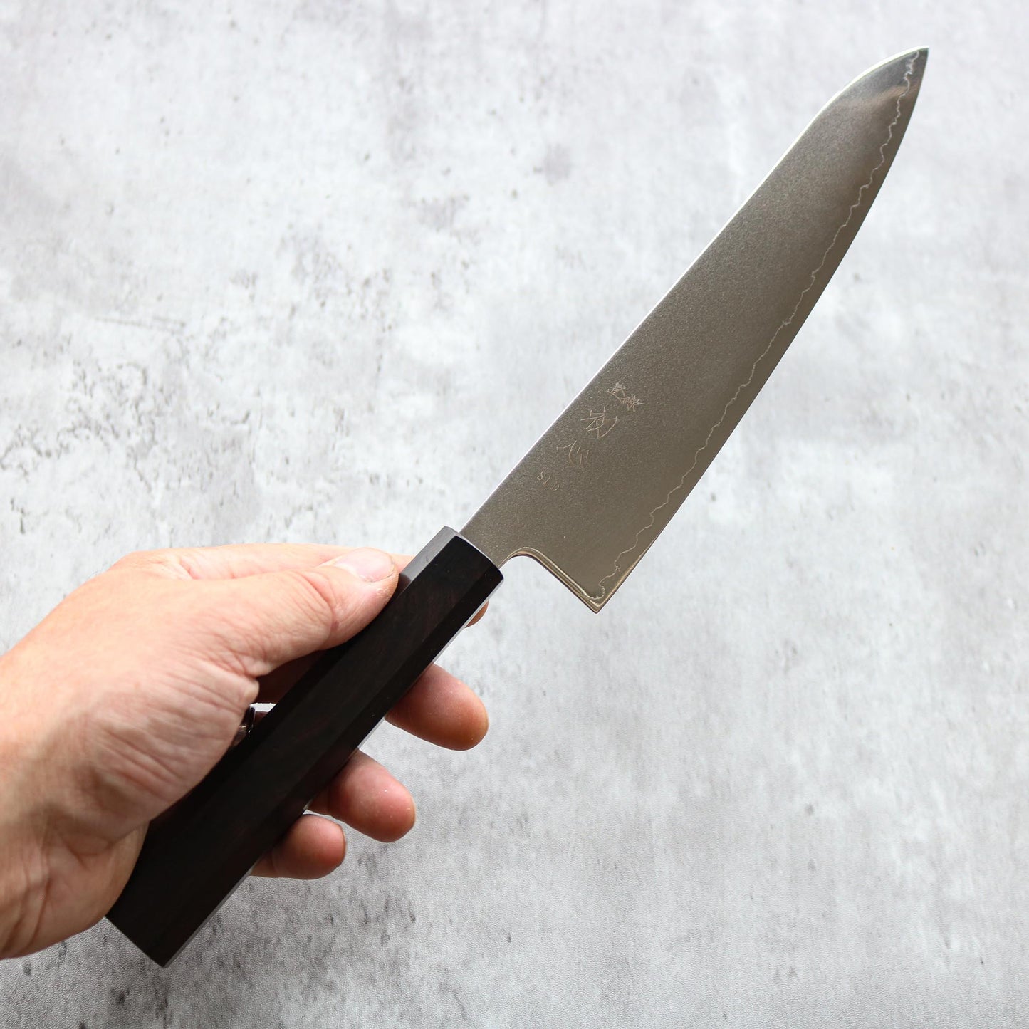 Hatsukokoro Hikari SLD Gyuto 210 mm