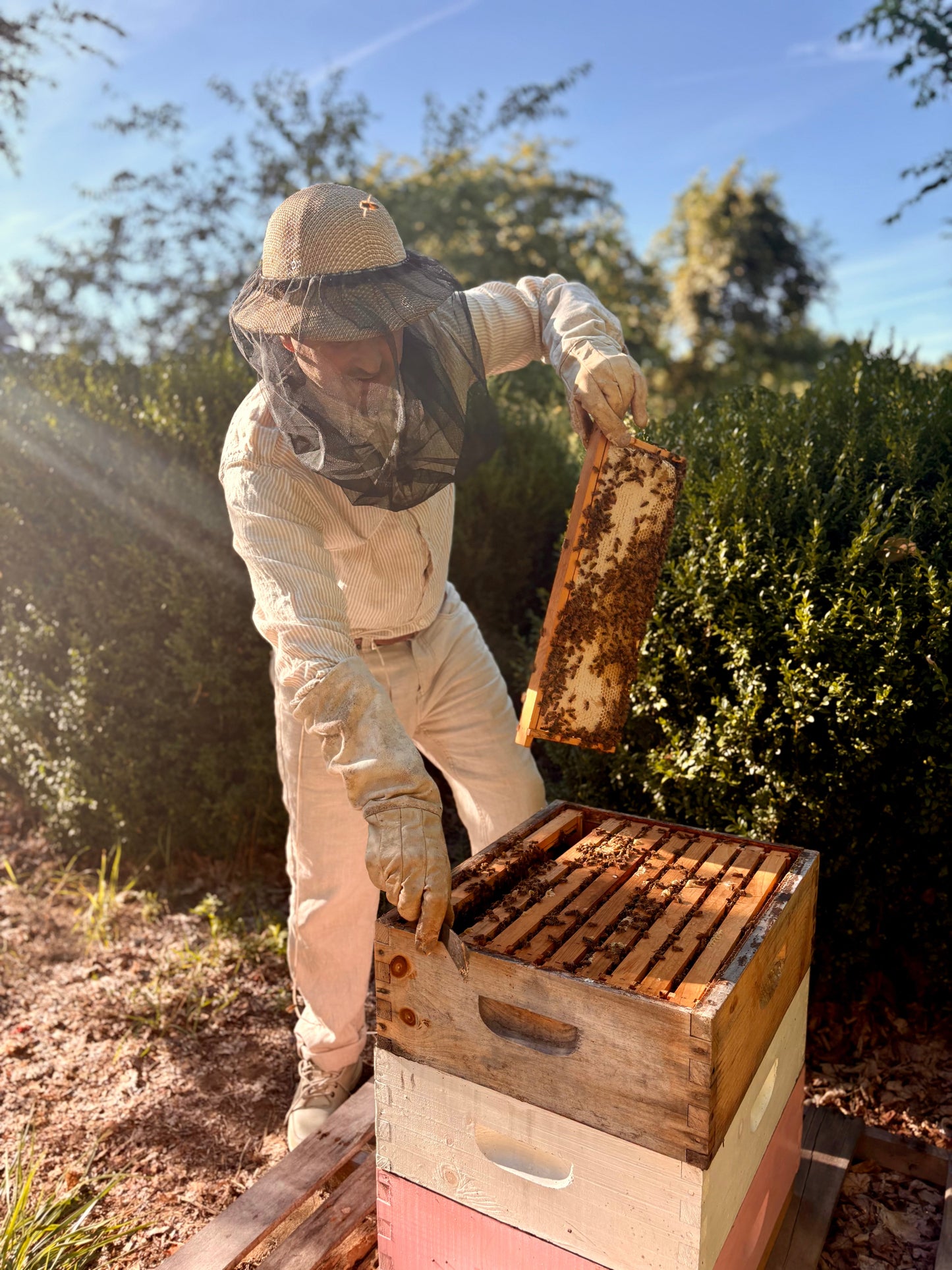 MUSHROOM AND HONEY FACE MASK