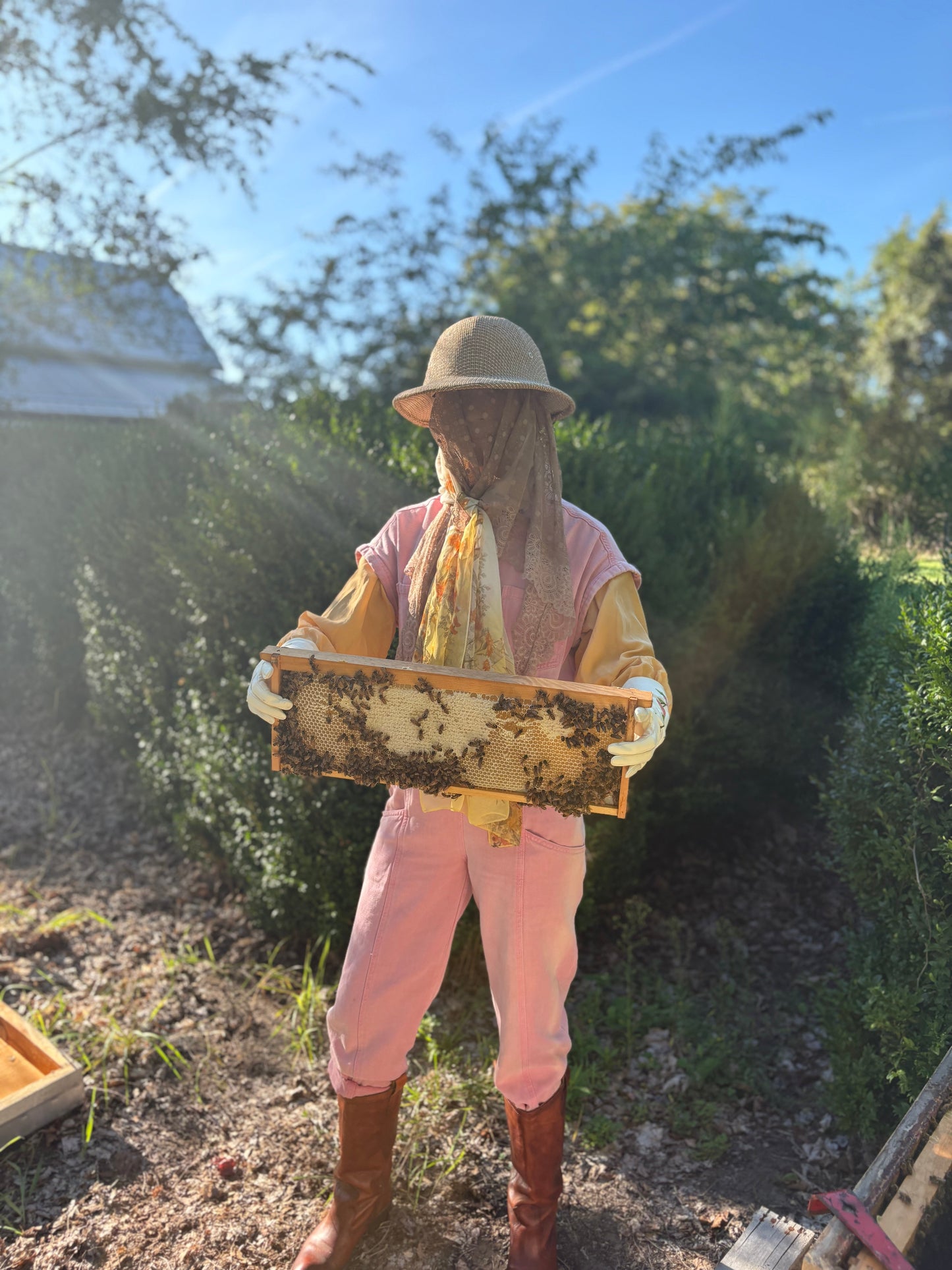 MUSHROOM AND HONEY FACE MASK