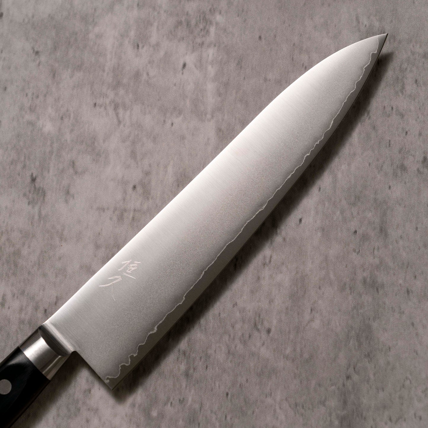 Tsunehisa Migaki VG-1 Gyuto 210 mm