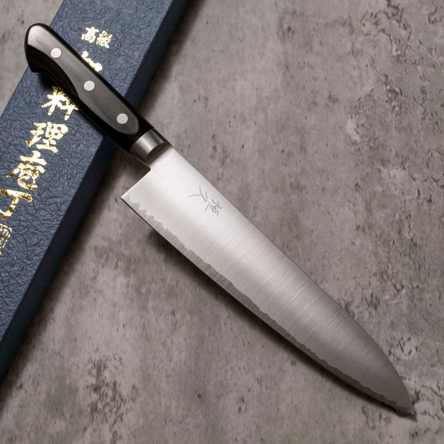 Tsunehisa Migaki VG-1 Gyuto 210 mm