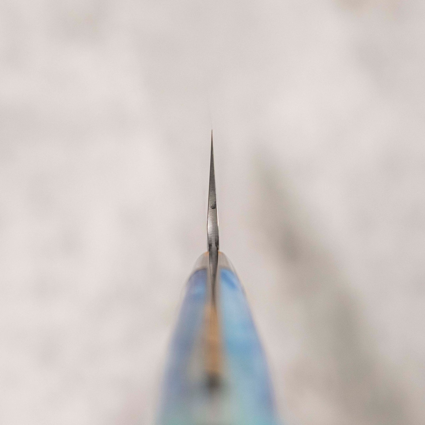 Takeshi Saji STRIX Gyuto 210 mm