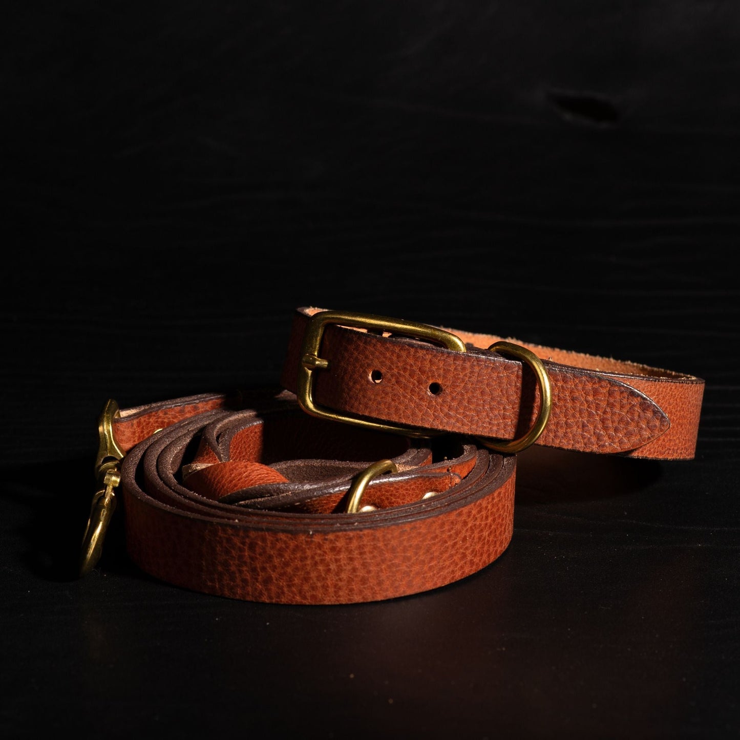 Rover Leather Dog Leash and Collar Set