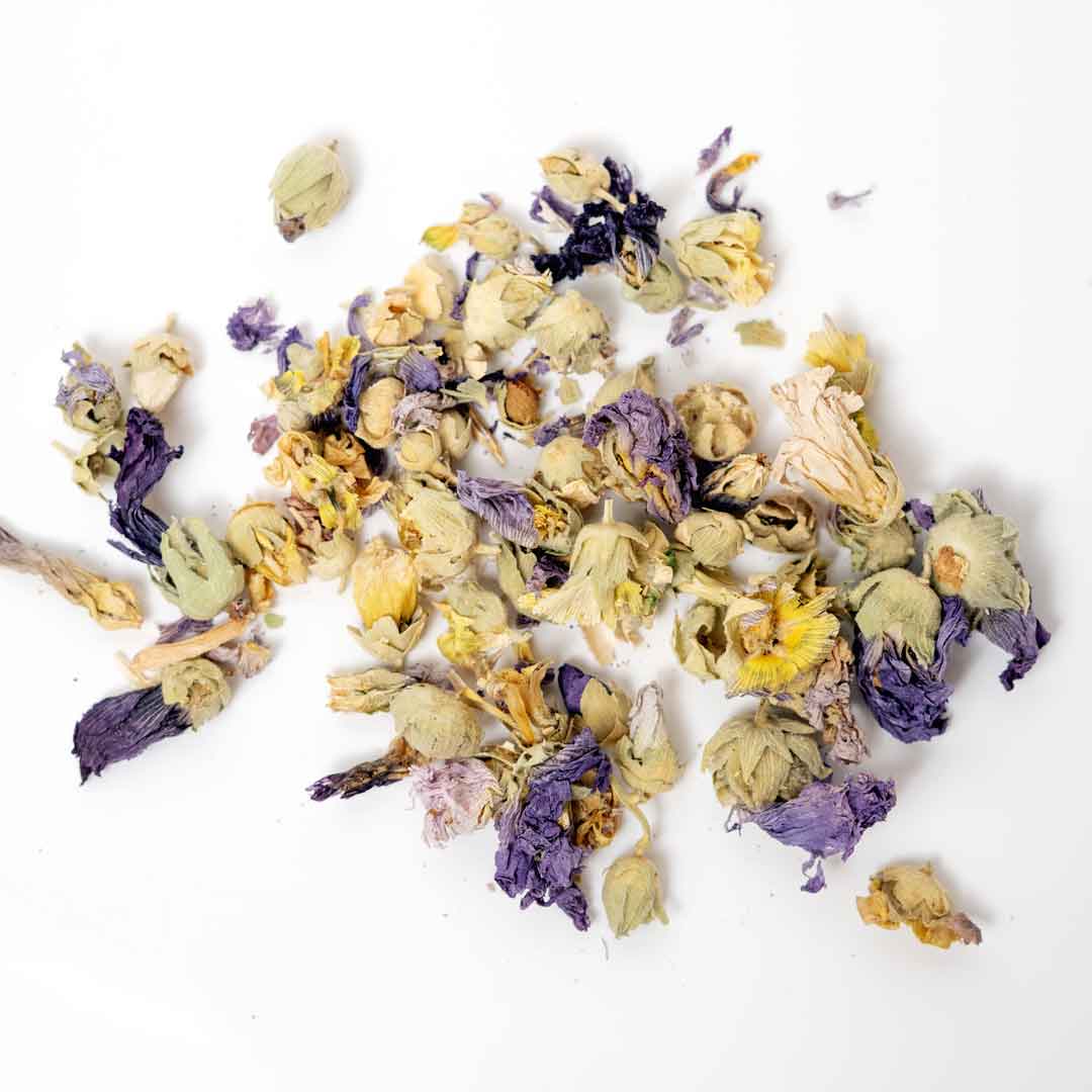 Althaea Officinalis Marshmallow Flowers