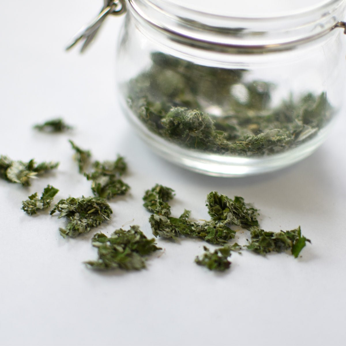 Framboisier, feuille - Rubus idaeus