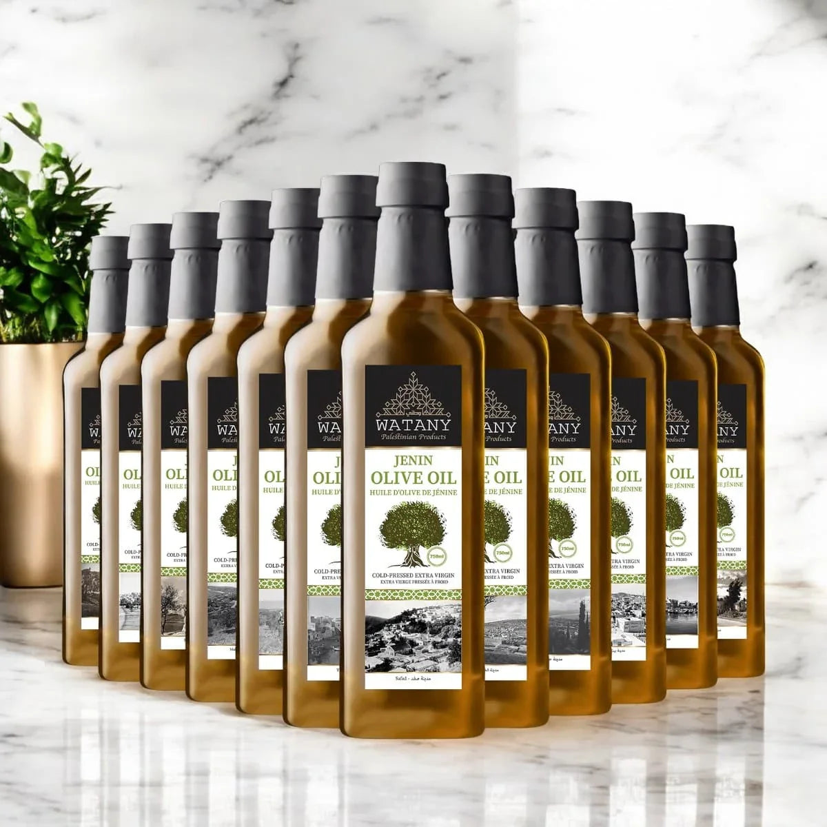 Palestinian Olive Oil from Jenin