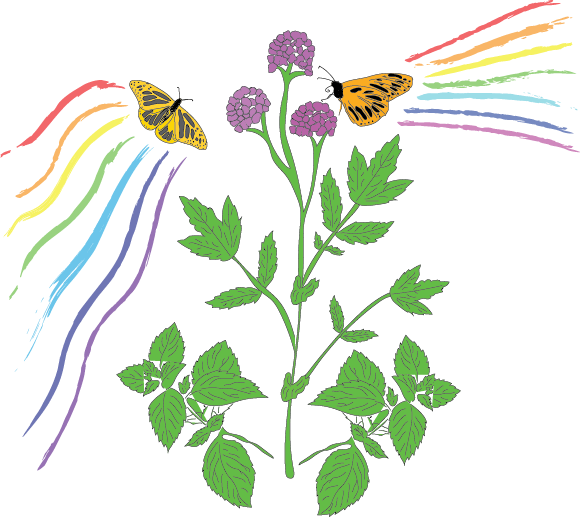 MEADOW MINT // peppermint renewal