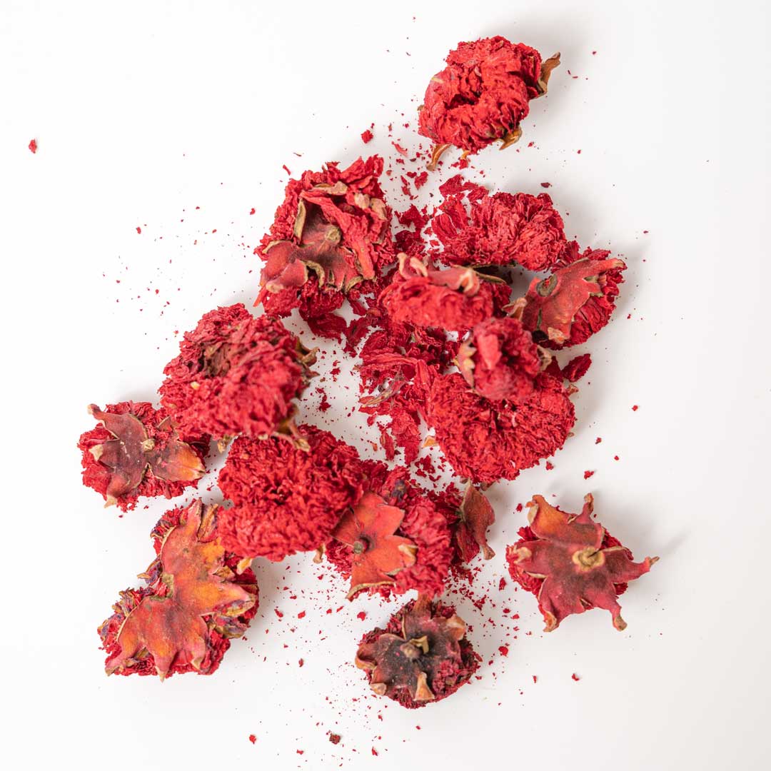 Pomegranate Flower Herbal Tea – Rayhana Organics – Whole Dried Blossoms