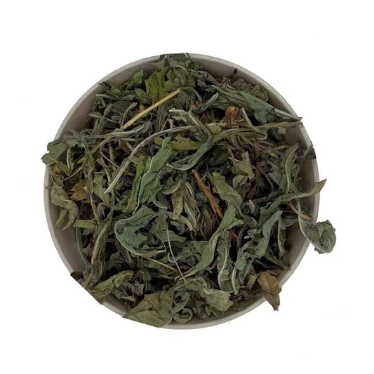 Dandelion Leaves Herbal Tea