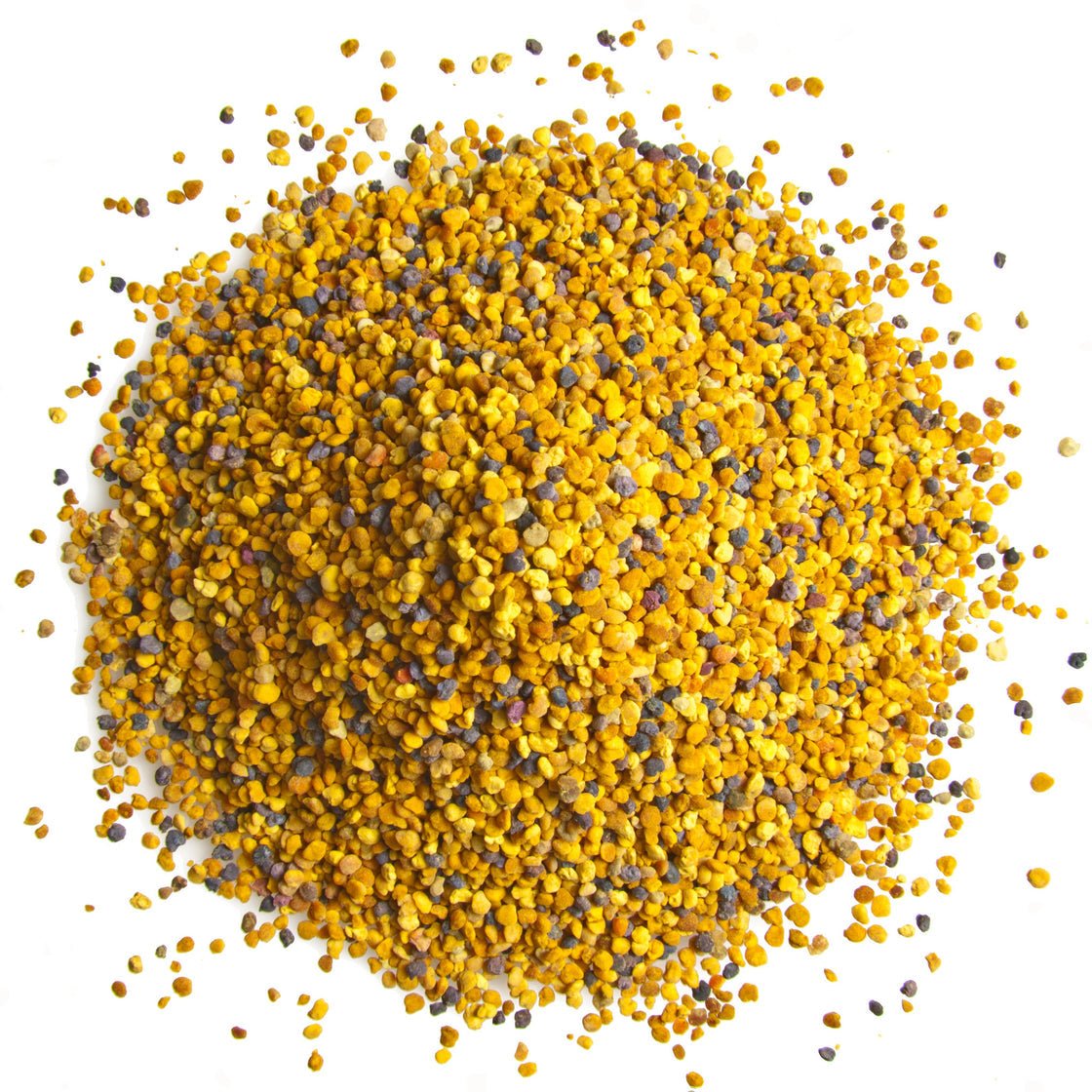 Sara Pure Bee Propolis Pollen Granule 225g Pollen d’abbeile de fleurs FOODS Zaytunamart.ca