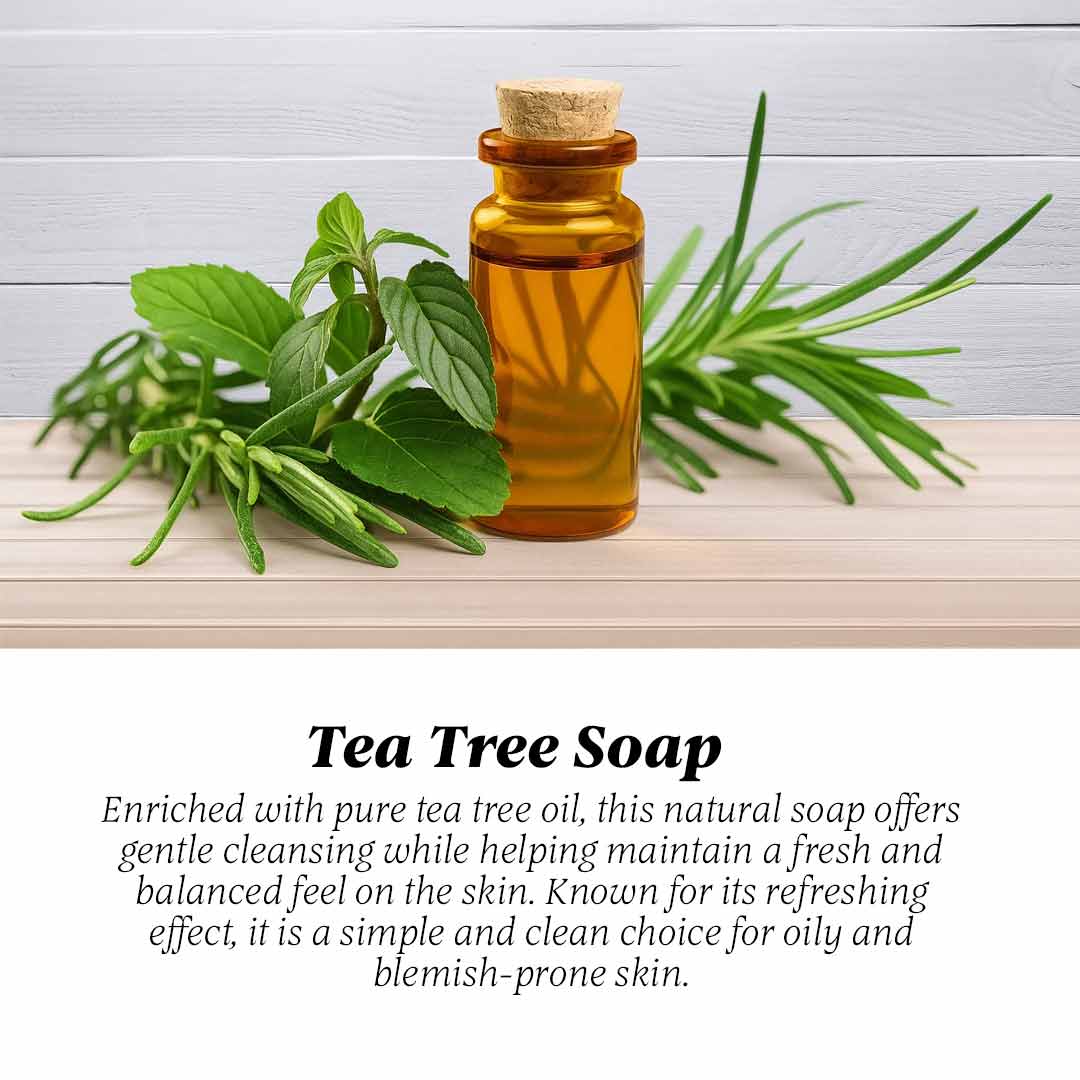 Tea Tree Natural Soap – Refreshing & Clarifying Care