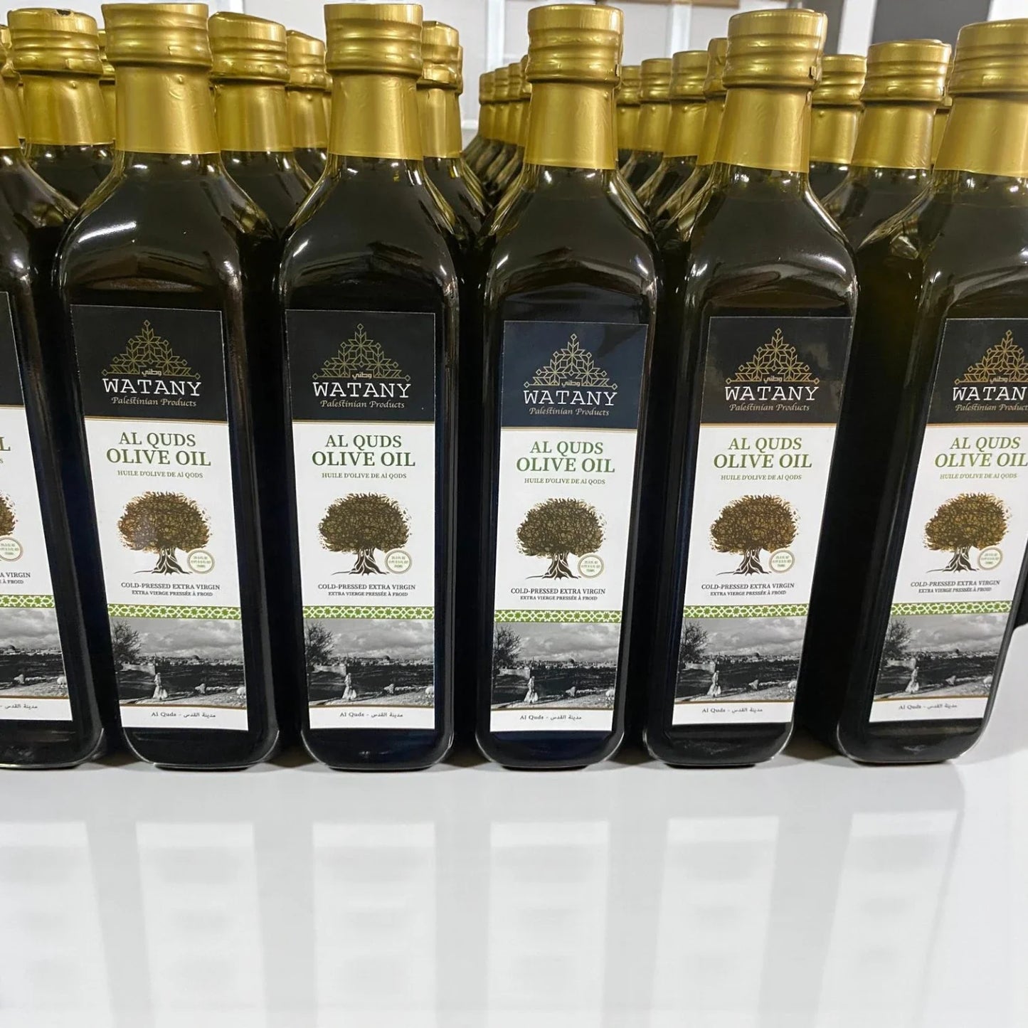 Palestinian Olive Oil from Al Quds