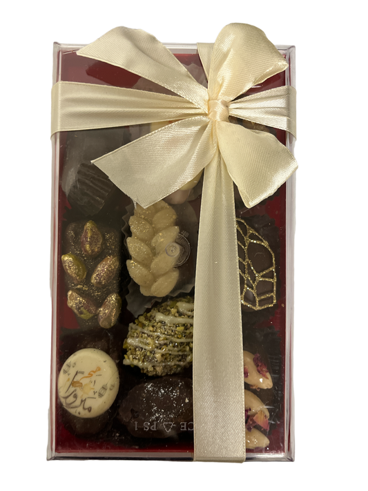 Gourmet Deglet Nour dates stuffed and covered with chocolate 300g